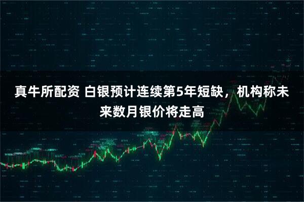 真牛所配资 白银预计连续第5年短缺，机构称未来数月银价将走高