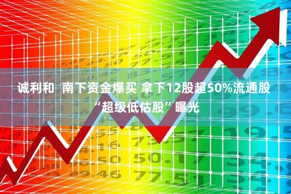 诚利和  南下资金爆买 拿下12股超50%流通股 “超级低估股”曝光