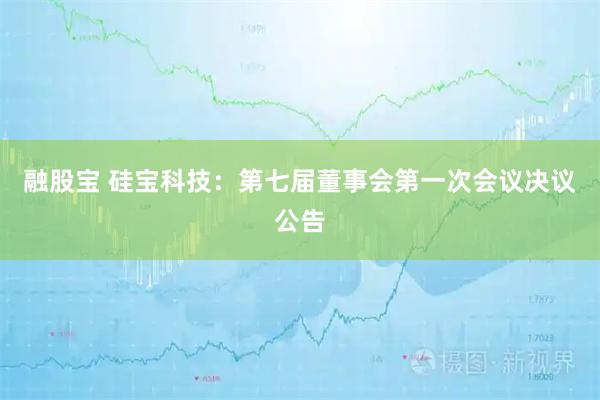 融股宝 硅宝科技：第七届董事会第一次会议决议公告