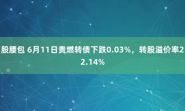 股腰包 6月11日贵燃转债下跌0.03%，转股溢价率22.14%