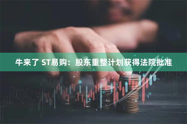 牛来了 ST易购:股东重整计划获得法院批准