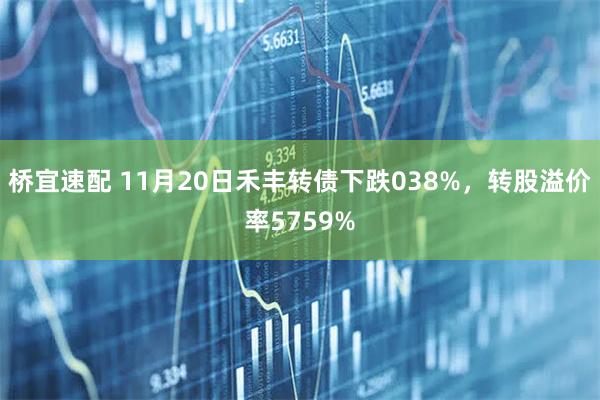 桥宜速配 11月20日禾丰转债下跌038%，转股溢价率5759%