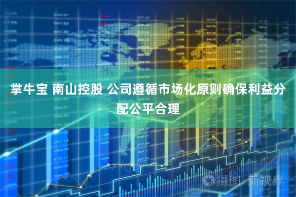 掌牛宝 南山控股 公司遵循市场化原则确保利益分配公平合理