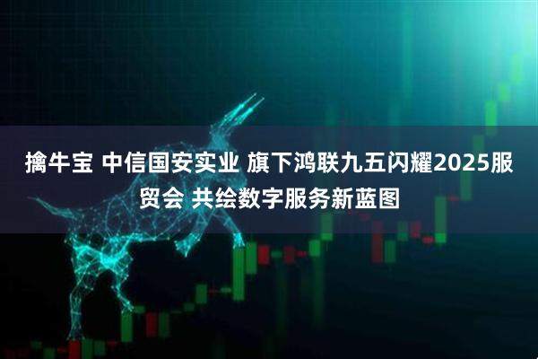 擒牛宝 中信国安实业 旗下鸿联九五闪耀2025服贸会 共绘数字服务新蓝图