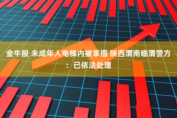 金牛股 未成年人电梯内被掌掴 陕西渭南临渭警方：已依法处理