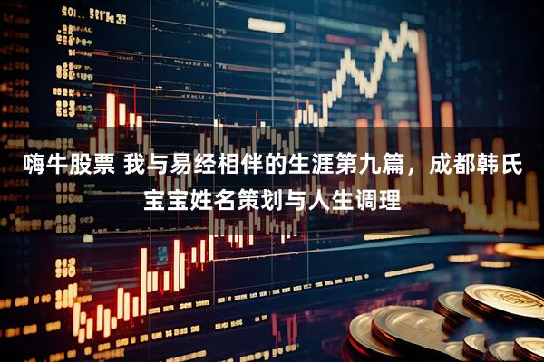 嗨牛股票 我与易经相伴的生涯第九篇，成都韩氏宝宝姓名策划与人生调理